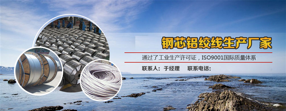 优秀钢丝批发商